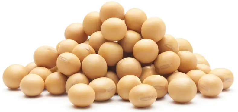 Batatas