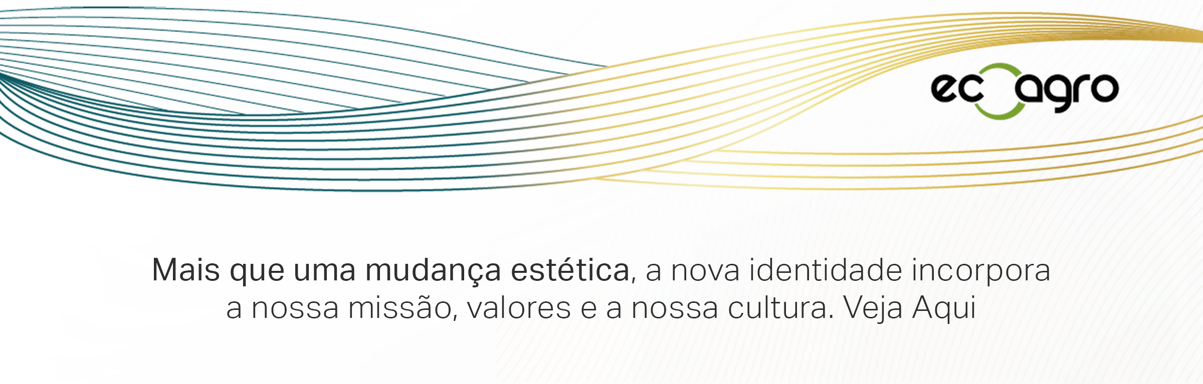 Nova Identidade (2)