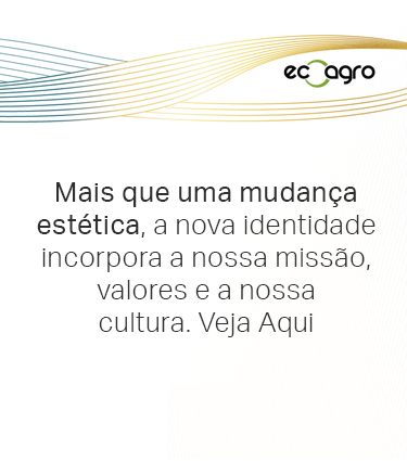 Nova Identidade (2)